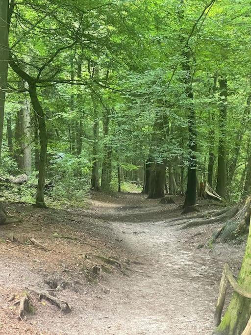 Ferienhaus Am Teutoburger Wald 데트몰트 외부 사진