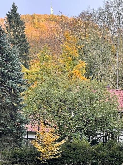 Ferienhaus Am Teutoburger Wald 데트몰트 외부 사진